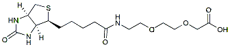 Molecular structure of the compound: Biotin-PEG2-CH2COOH