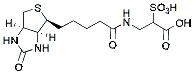 Molecular structure of the compound: Biotin-2-sulfopropanoic acid, TEA salt