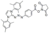 Molecular structure of the compound: BB1-NHS ester