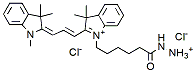 Molecular structure of the compound: Cy3 hydrazide