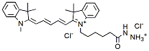 Molecular structure of the compound: Cy5 hydrazide