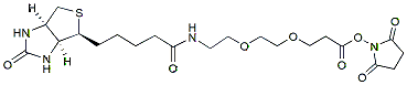 Molecular structure of the compound: Biotin-PEG2-NHS ester