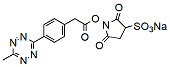 Molecular structure of the compound: Methyltetrazine-Sulfo-NHS ester