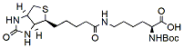 Molecular structure of the compound: N-Boc-Biocytin