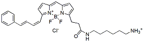 Molecular structure of the compound: BDP 581/591 amine