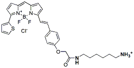 Molecular structure of the compound: BDP 630/650 amine