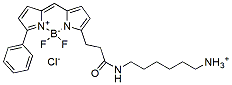 Molecular structure of the compound: BDP R6G amine