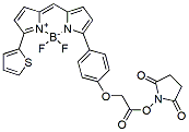 Molecular structure of the compound: BDP TR NHS ester