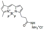 Molecular structure of the compound: BDP FL hydrazide