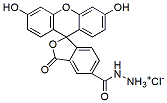 Molecular structure of the compound: FAM hydrazide, 5-isomer