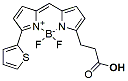 Molecular structure of the compound: BDP 558/568 carboxylic acid