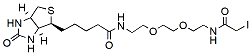 Molecular structure of the compound: Biotin-PEG2-iodide