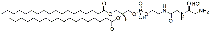 Molecular structure of the compound: Amino-Gly-Gly-DSPE HCl salt