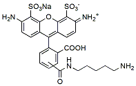 Molecular structure of the compound: BP Fluor 488 Cadaverine