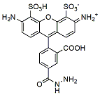 Molecular structure of the compound: BP Fluor 488 Hydrazide