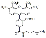 Molecular structure of the compound: BP Fluor 488 Hydroxylamine