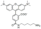 Molecular structure of the compound: 5-TAMRA Cadaverine