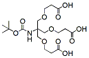 Molecular structure of the compound: Boc-NH-Tri-(carbonylethoxymethyl)-methane