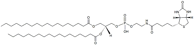 Molecular structure of the compound: DSPE-Biotin