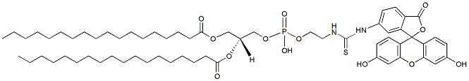 Molecular structure of the compound: DSPE-FITC