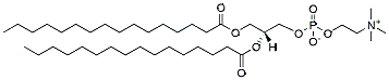 Molecular structure of the compound: DPPC