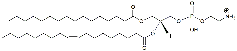 Molecular structure of the compound: POPE
