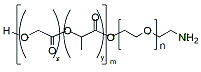Molecular structure of the compound: PLGA(1k)-PEG(1k)-NH2