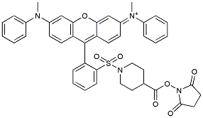 Molecular structure of the compound: SY-7 NHS ester