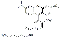 Molecular structure of the compound: 6-TAMRA Cadaverine