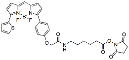 Molecular structure of the compound: BDP TR X NHS ester