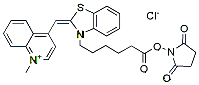 Molecular structure of the compound: Thiazole Orange NHS Ester