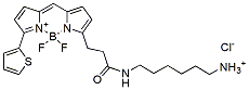 Molecular structure of the compound: BDP 558/568 amine