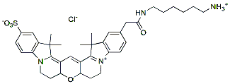 Molecular structure of the compound: Cy3B amine