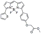 Molecular structure of the compound: BDP TR methyl ester