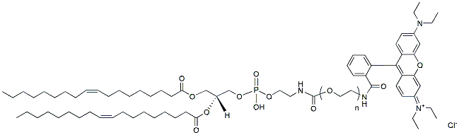 Molecular structure of the compound: DOPE-PEG-Rhodamine B, MW 5,000