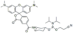 Molecular structure of the compound: TAMRA phosphoramidite, 5-isomer