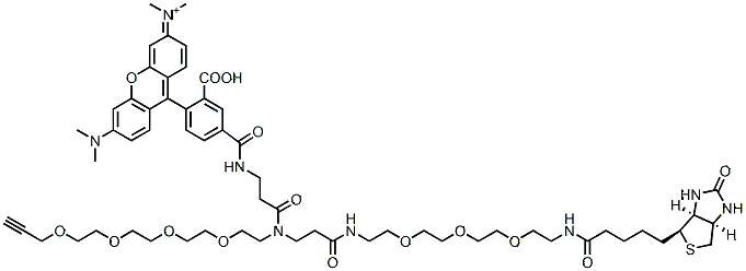 Molecular structure of the compound: TAMRA Biotin Alkyne