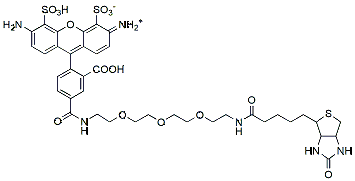 Molecular structure of the compound: BP Fluor 488 Biotin