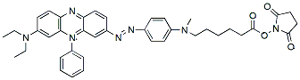 Molecular structure of the compound: DusQ 3 NHS ester