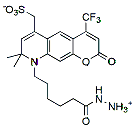 Molecular structure of the compound BP-40681