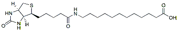 Molecular structure of the compound: N-Biotinyl-12-aminododecanoic acid