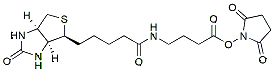 Molecular structure of the compound: 2,5-Dioxopyrrolidin-1-yl 4-(5-((3aS,4S,6aR)-2-oxohexahydro-1H-thieno[3,4-d]imidazol-4-yl)pentanamido)butanoate