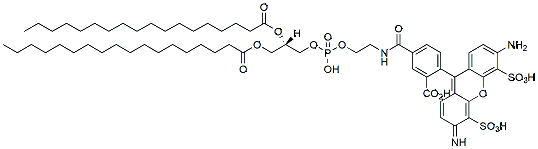 Molecular structure of the compound: DSPE-Fluor 488