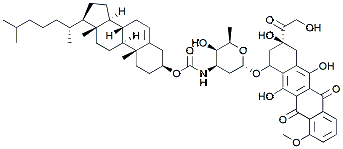 Molecular structure of the compound: Cholesterol-Doxorubicin