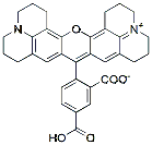 Molecular structure of the compound: 5-ROX (5-Carboxy-X-Rhodamine)