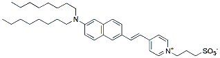 Molecular structure of the compound: Di-8-ANEPPS