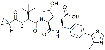 Molecular structure of the compound: VH 101, acid