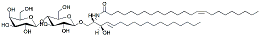 Molecular structure of the compound: C24:1 Lactosyl(ß) Ceramide (d18:1/24:1)