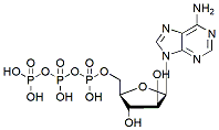 Molecular structure of the compound: ara-ATP