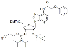 Molecular structure of the compound: 2-OTBS A(pac) amidite